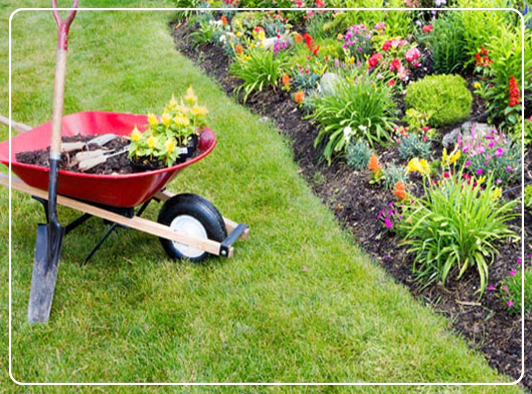 gardeners