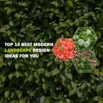 Most Commonly Used Border Plants/Hedges for Garden and landscape: You Must Know border plants