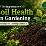 The Importance of Soil Health in Gardening ChatGPT Image Jun 15, 2026, 11_02_45 AM