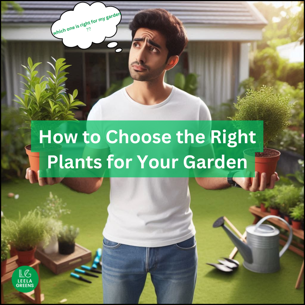Choose the Right Plants