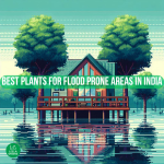 Best Plants for Flood Prone Areas in india flood prone