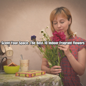 fragrant flowers