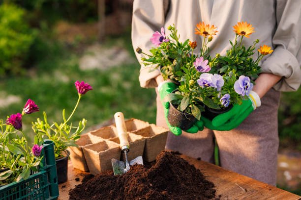 seasonal planting