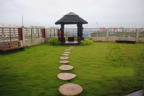 Landscaping ideas