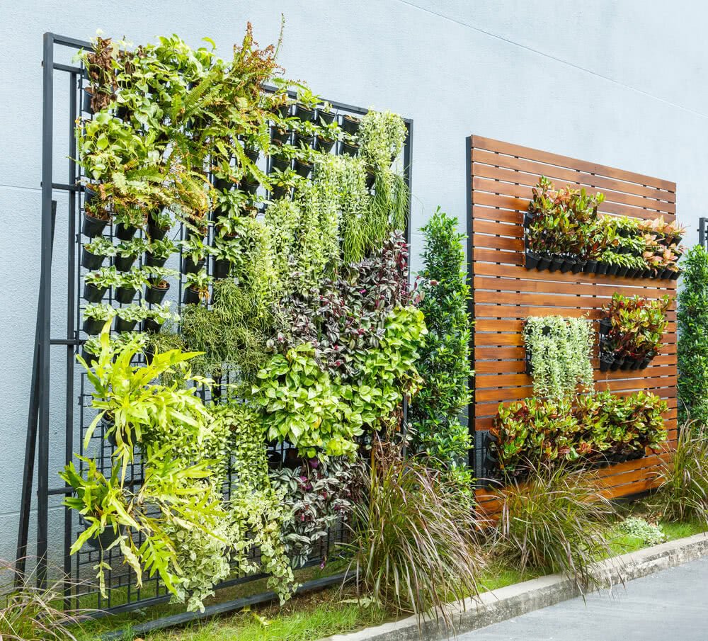 modern landscaping