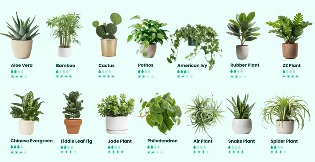Air Filtering Plants