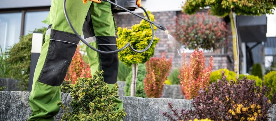 xeriscaping