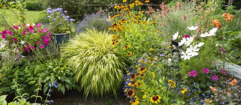 gardening mistakes
