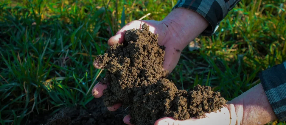 sustainable gardening