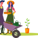 Garden Maintenance Services
