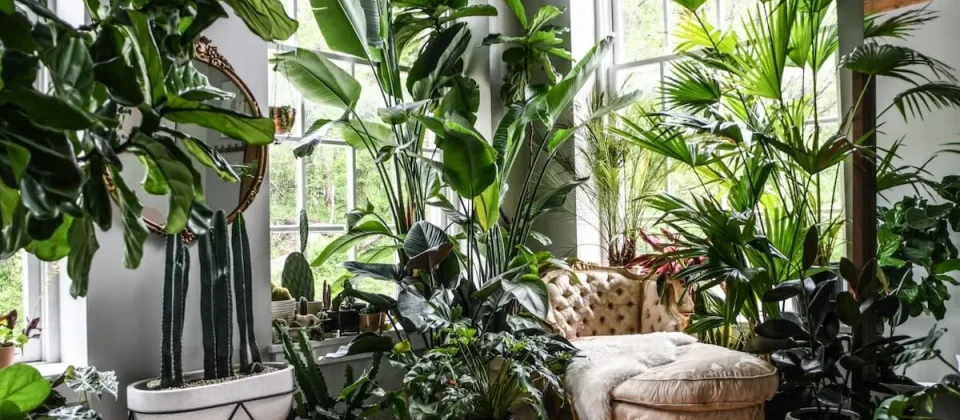 Indoor gardening