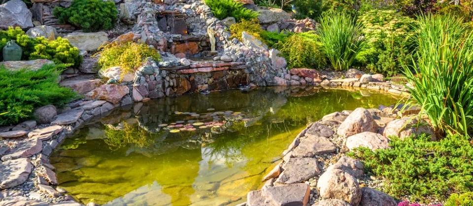 landscaping ideas