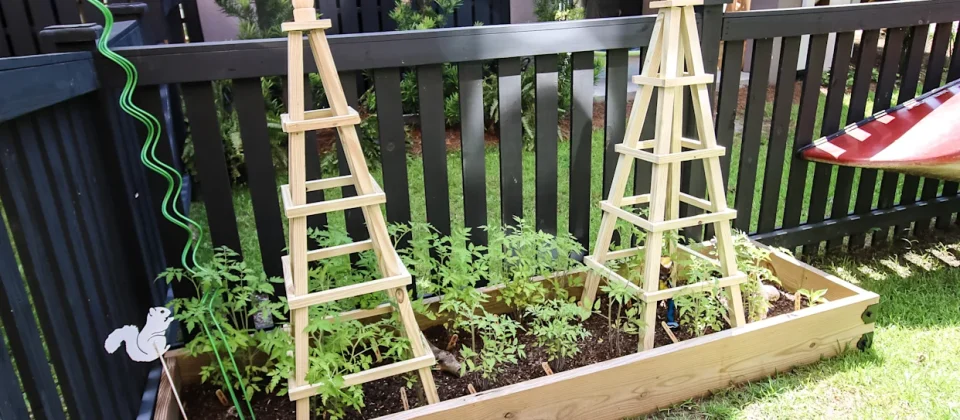 landscaping ideas