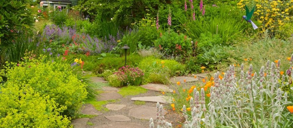Low-Maintenance Garden