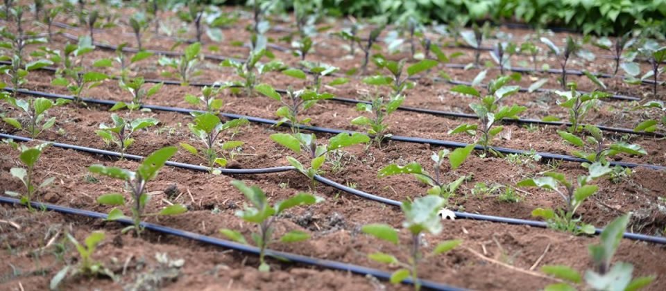 irrigation solutions